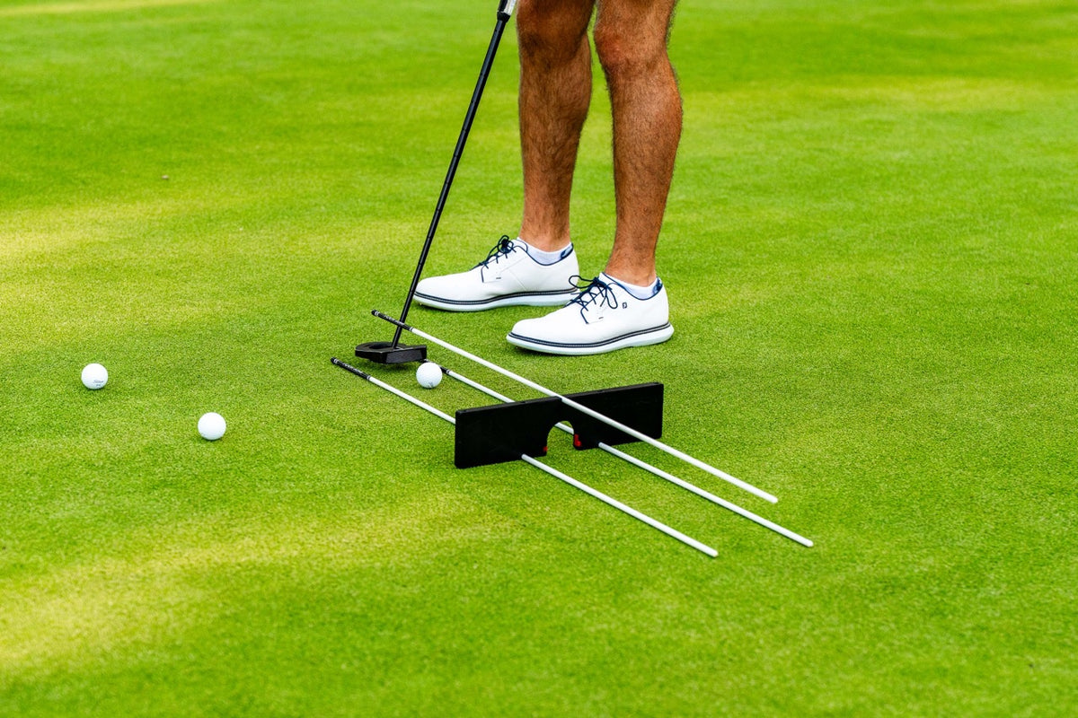 Putting setup with Adjustable Putting Gate